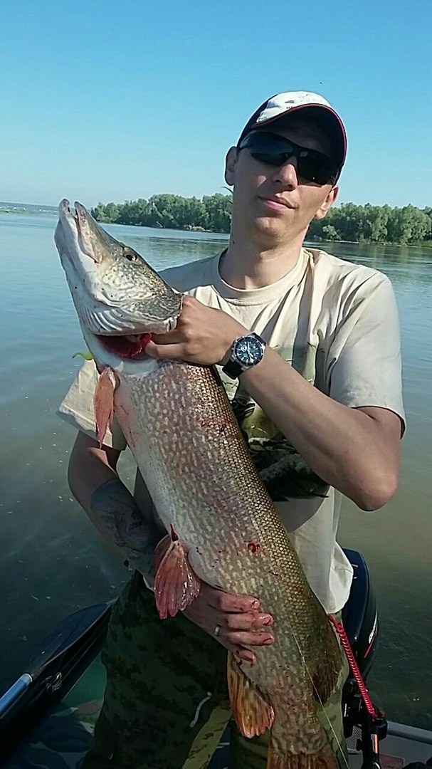 рыбалка на хищника в новосибирске